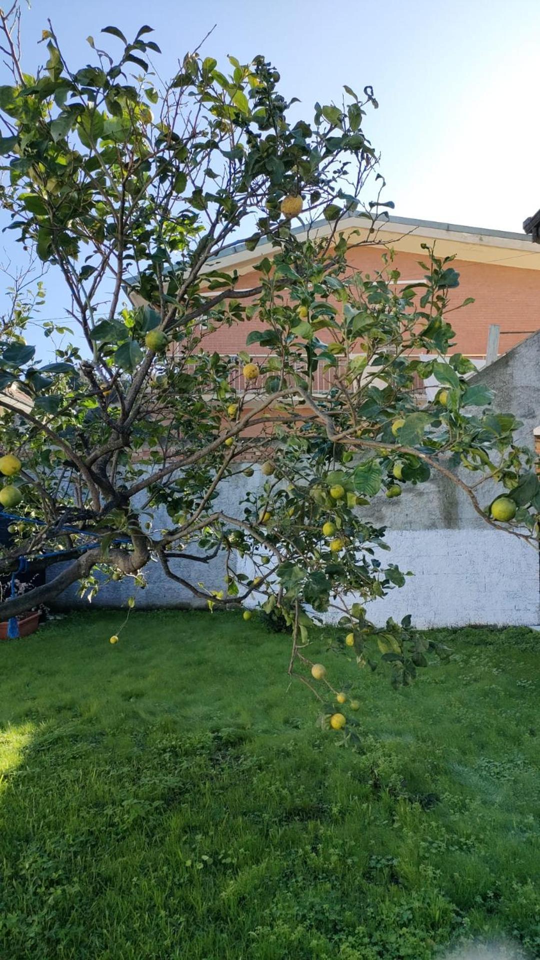 Ndiscialamu Casa Vacanze Palmi Exteriér fotografie